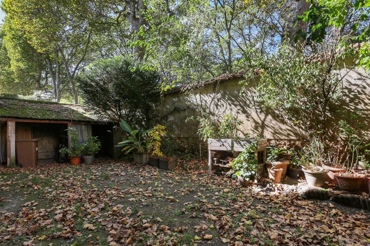 Ferienwohnung Aux Loges De L'Orangerie Versailles Exterior foto